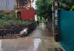 Thửa đất số 411, tờ bản đồ số 35, thôn CD Quán Trạch, Liên Nghĩa, Văn Giang, Hưng Yên... Bán đất tại Văn Giang, Hưng Yên 12