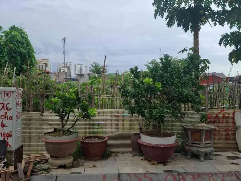 Sở hữu đất đẹp view hồ, tiện nghi đầy đủ ngay Đông Khê... Bán đất tại Gia Viên, Hải Phòng 01