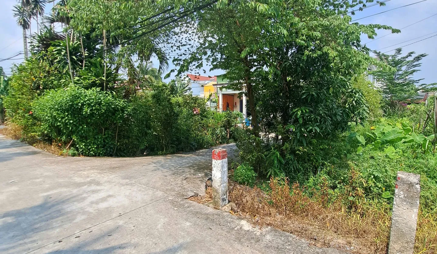 Bán đất mặt tiền rộng 16m tại An Hạ, giá tốt... Bán đất tại Vĩnh Lộc, Hồ Chí Minh 01