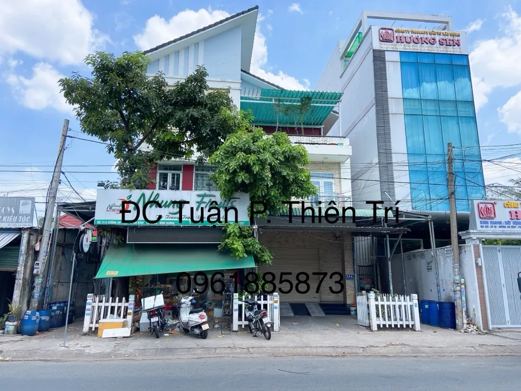 Biệt thự mặt phố siêu sang ở Thủ Đức, giá cực tốt... Bán nhà mặt phố tại Thủ Đức, Hồ Chí Minh 01
