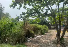 MẢNH ĐẤT LỚN TỔNG CỘNG CÓ SỔ HỒNG TỔNG 969m2 Đất thổ cư Đất 2 mặt tiền tiện phân lô tách thử, xây... Bán partner tại Nhà Bè, Hồ Chí Minh 01