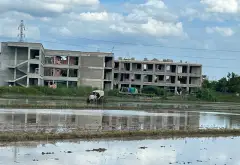 B.án đất 85.6m2 mặt tiền rộng- ngõ ô tô Mai Động, Phù Khê, Từ Sơn 2,xtỷ... Bán đất tại Phù Khê, Bắc Ninh 01