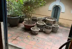 Mảnh đất hiếm ở trung tâm Đống Đa, sổ đỏ chính chủ... Bán owner_side tại Kim Liên, Hà Nội 13