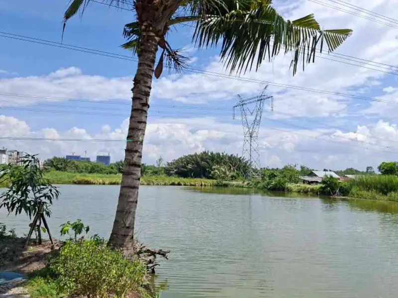 NHÀ CẤP 4 – 157M² – VIEW SÔNG MÁT MẺ - NGANG 8,4M – GIẢM 200TR CÒN 7,5 Đ... Bán nhà riêng tại Nhà Bè, Hồ Chí Minh 01