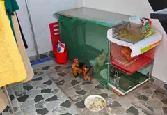 NHÀ 5 TẦNG 65M2 KHU ĐỒNG BỘ - PHƯỜNG AN NHƠN - THANG MÁY VIVU - 13TY TL... Bán nhà riêng tại An Nhơn, Hồ Chí Minh 15