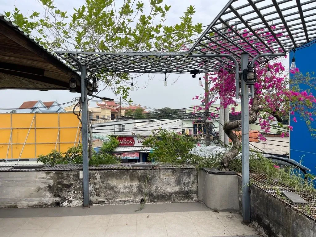 Siêu hiếm nhà mặt tiền Đinh Đức Thiện - Kinh doanh đỉnh... Bán nhà mặt phố tại Bình Chánh, Hồ Chí Minh 01
