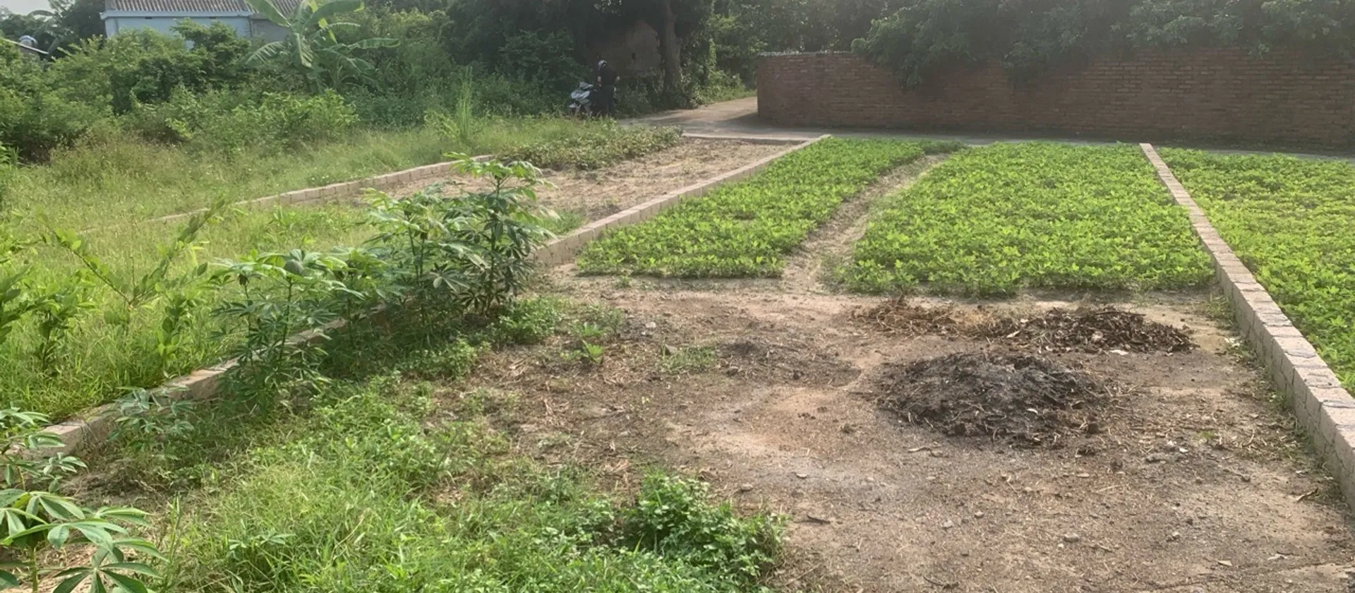 Bán đất 102 m2 hướng Tây Nam tại Bắc Mã 2, An Sinh, pháp lý cơ sở... Bán đất tại An Sinh, Quảng Ninh 01