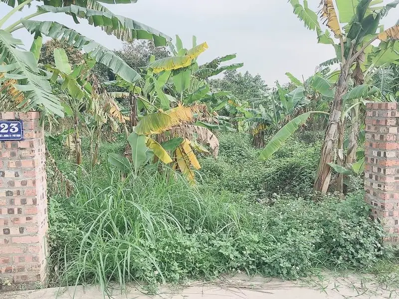 Bán đất phân lô ô tô tránh tại xã Kim Anh, TP Hà Nội, diện tích 75,1m2... Bán đất tại Kim Anh, Hà Nội 01
