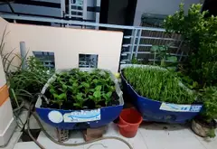 Nhà 3 tầng 60m2 4PN 4WC hẻm xe hơi Phường 16 Quận 8... Bán owner_side tại Bình Phú, Hồ Chí Minh 15