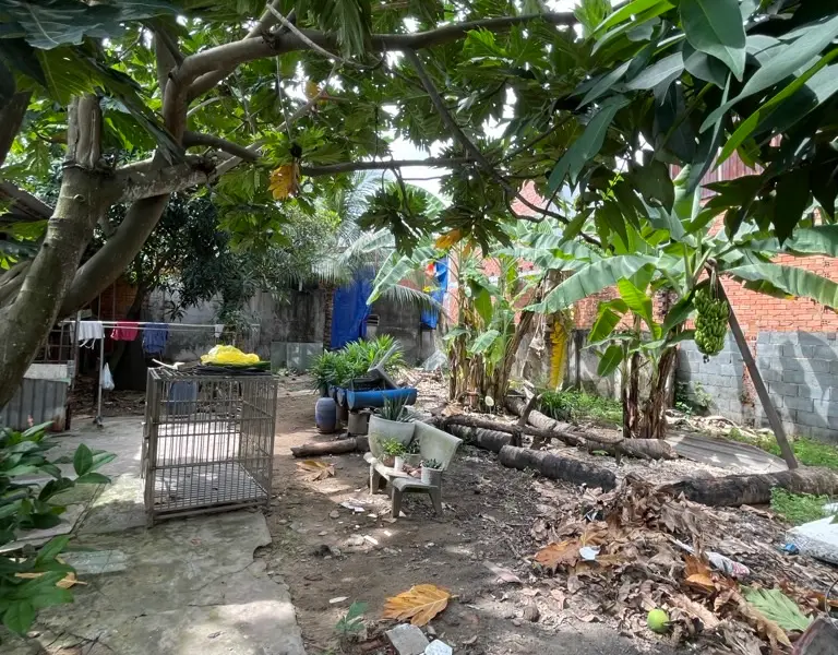 Bán nhà riêng 1 tầng rộng 181m2 tại xã Lê Minh Xuân Bình Chánh... Bán nhà riêng tại Bình Lợi, Hồ Chí Minh 01