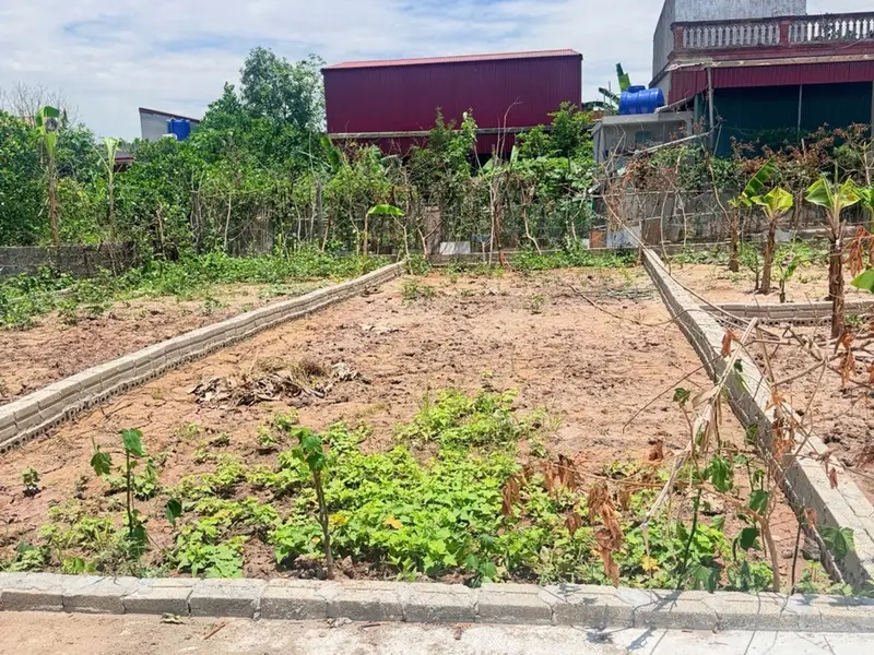 Bán đất 80m2 tại trung tâm Thường Tín, khu dân cư sầm uất... Bán đất tại Chương Dương, Hà Nội 01