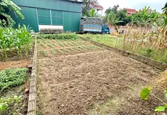 Đất nền Sóc Sơn - Cơ hội vàng ngay Hà Nội... Bán đất tại Sóc Sơn, Hà Nội 07