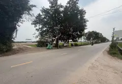Bán đất 40m2 tại Nhị Khê, vị trí tiềm năng gần Vin Olympics và vành đai 4... Bán đất tại Thường Tín, Hà Nội 02