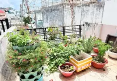 Nhà 4 Tầng Ô Tô Đỗ Cổng Giá Tốt Tại Tân Bình... Bán nhà riêng tại Tân Sơn, Hồ Chí Minh 05