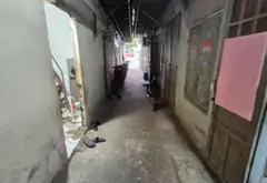 Bán nhà 6x30m nhựa thông chợ đầu mối Hóc Môn, Nguyễn Thị Sóc, 9,x tỷ... Bán nhà mặt phố tại Xuân Thới Sơn, Hồ Chí Minh 06