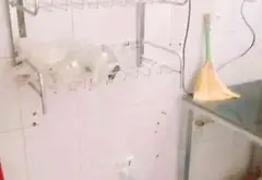Căn hộ tiện nghi tại trung tâm Thanh Xuân, sổ đỏ chính chủ... Bán căn hộ chung cư tại Khương Đình, Hà Nội 04