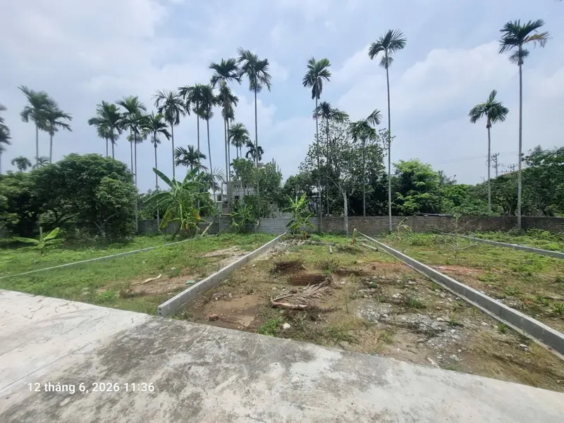 Bán đất thổ cư hướng Nam tại Thôn Hạ Trang, An Trường, TP Hải Phòng, thuận tiện giao thông... Bán đất tại An Trường, Hải Phòng 01