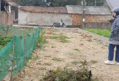 Đất Mặt Ngõ Ô Tô Gần Sân Bay, Giá Hấp Dẫn... Bán đất tại Nội Bài, Hà Nội 03