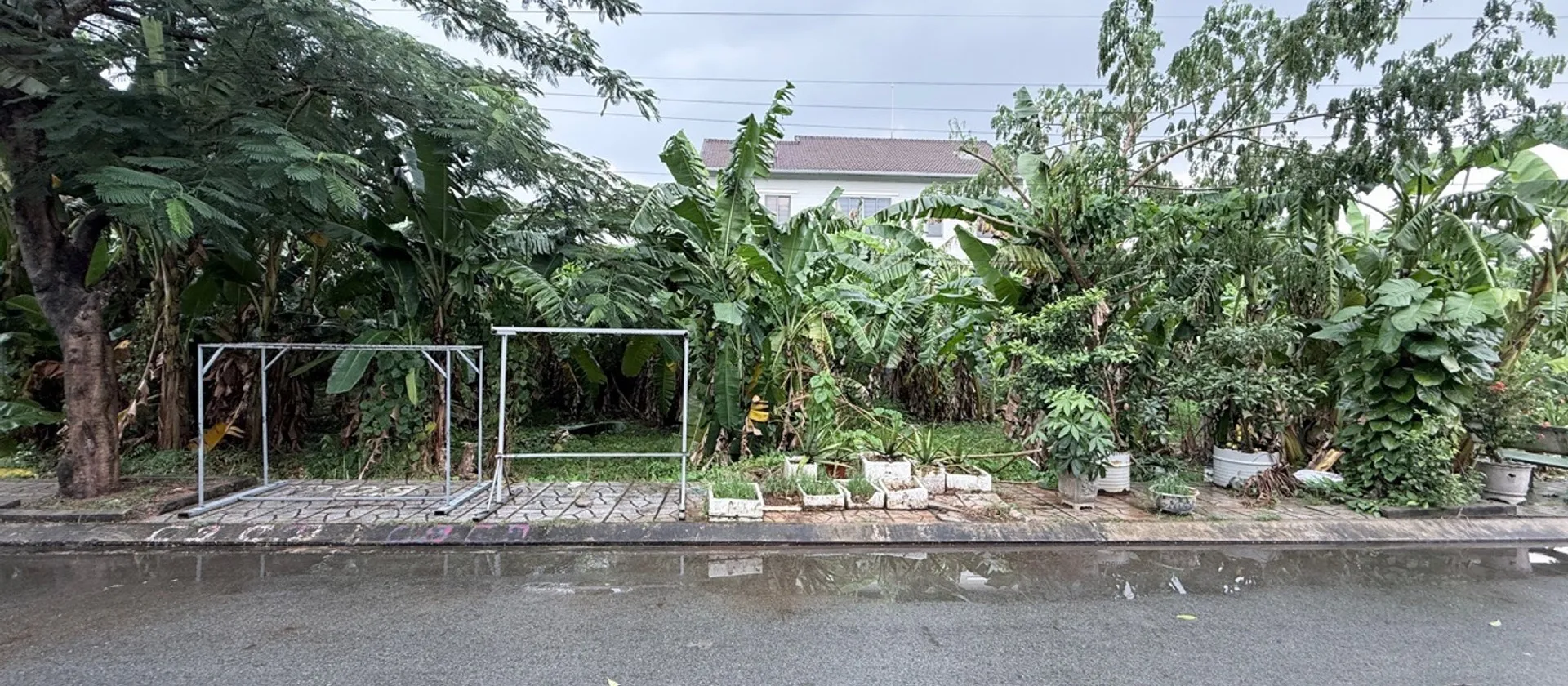 Bán 62m2 Đất, Sổ Hồng Riêng, Full Thổ Cư, Hxh Đường 12 Tam Đa, Long Phước. Chỉ 3.5 Tỷ Thương Lượng.... Bán đất tại Long Phước, Hồ Chí Minh 01