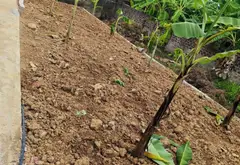 Đất lô góc thoáng mát tại Thủy Nguyên, Hải Phòng, khu dân cư văn minh... Bán đất tại Lưu Kiếm, Hải Phòng 08