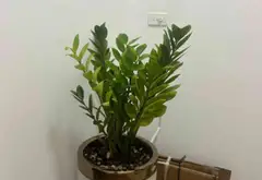 Căn hộ siêu phẩm tại Lương Thế Vinh - cơ hội vàng sở hữu ngay hôm nay... Bán căn hộ chung cư tại Đại Mỗ, Hà Nội 04