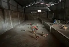 Bán nhà mặt phố 90m2 tại Phù Khê kinh doanh sầm uất... Bán nhà mặt phố tại Chi Lăng, Bắc Ninh 09
