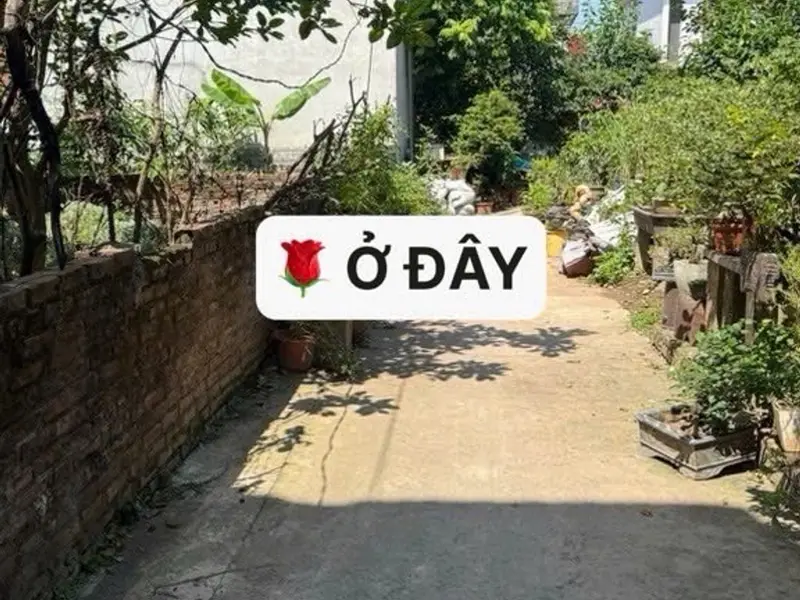 Bán đất văn giang diện tích 50m2... Bán đất tại Văn Giang, Hưng Yên 01