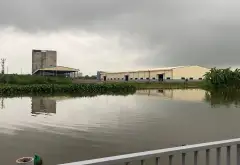 Bán đất 100m2 tại khu giãn dân Khắc Niệm, vị trí thuận tiện... Bán đất tại Hạp Lĩnh, Bắc Ninh 06