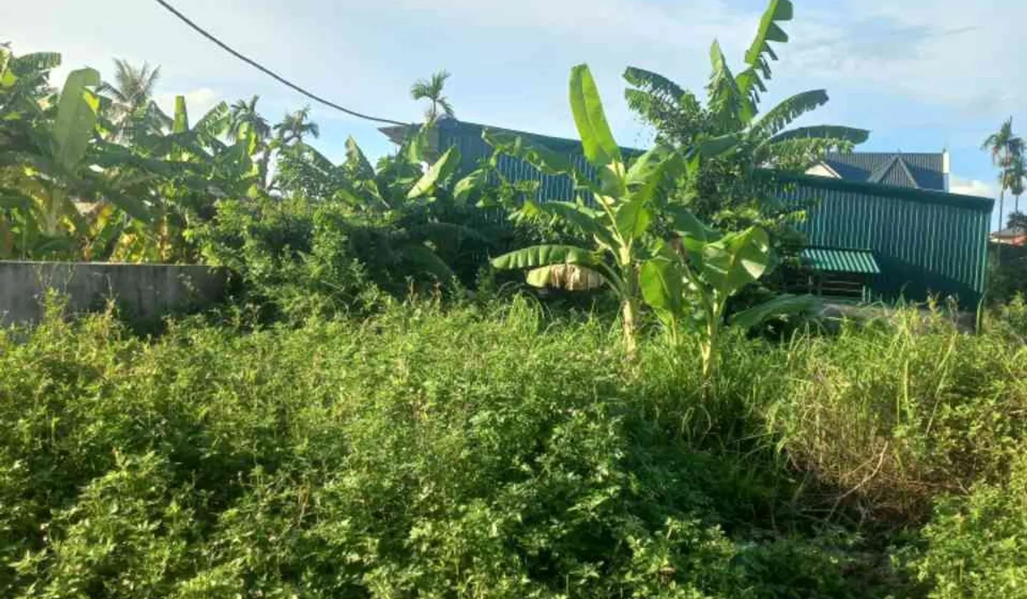 Bán đất thôn 8 xã Kiến Quốc, Kiến Thụy - Ngõ thông, ô tô qua đất, thửa đẹp... Bán đất tại Kiến Thụy, Hải Phòng 01