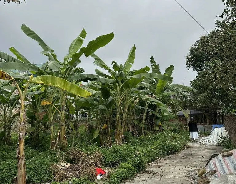 Bán đất 46m² hướng Đông Nam tại xã Quang Tiến, ô tô vào, pháp lý cơ sở... Bán đất tại Nội Bài, Hà Nội 01