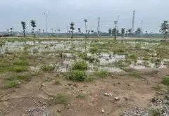 Dân cư mới đoàn đào hưng Yên Đất diện tích 100 mét vuông... Bán đất tại Đoàn Đào, Hưng Yên 10