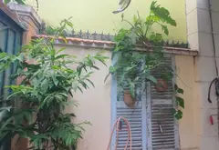 Bán nhà riêng phường 1 quận 8, diện tích 45.9m2, nhà 2 phòng ngủ, pháp lý đầy đủ... Bán nhà riêng tại Chánh Hưng, Hồ Chí Minh 02