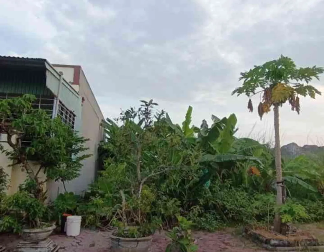 Lô đất 80m2 đường rộng ba làn ô tô tại khu tái định cư Gia Minh, Thủy Nguyên... Bán đất tại Thủy Nguyên, Hải Phòng 01