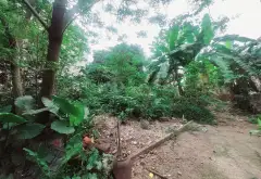 Đất Vuông Vắn Nở Hậu Giá Tốt Tại Phú Mỹ Biên Giang... Bán đất tại Chương Mỹ, Hà Nội 09