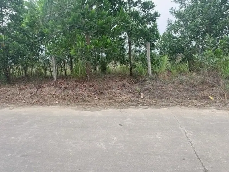 💥💥BÁN MẢNH ĐẤT NGHỈ DƯỠNG - OTO TRÁNH - 1.315,5m² – SÓC SƠN, HÀ NỘI... Bán đất tại Trung Giã, Hà Nội 01