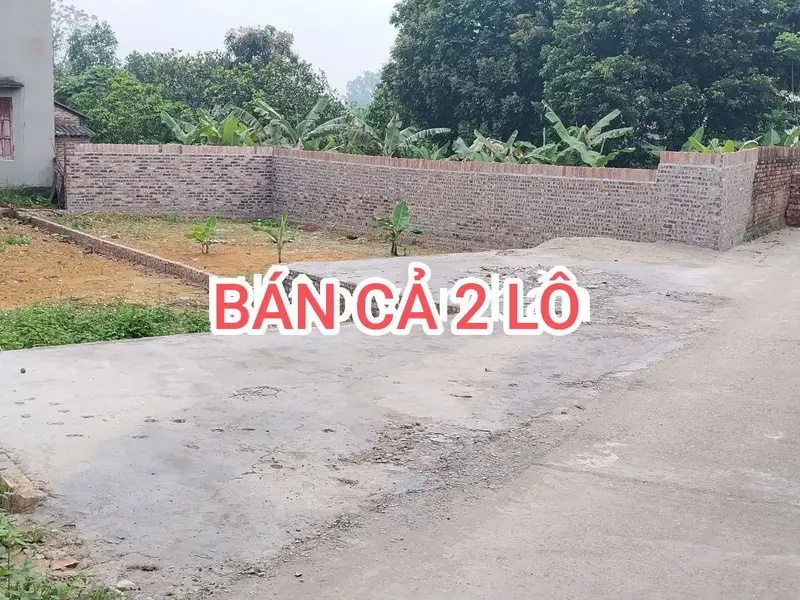 Bán đất xã Tân Minh, diện tích 98m², có pháp lý sổ sang tên nhanh... Bán đất tại Sóc Sơn, Hà Nội 01