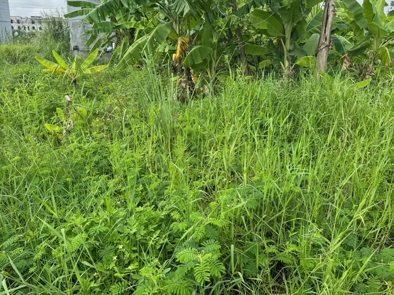 ĐẤT VÀNG PHƯỜNG THIÊN HƯƠNG - CHỐT NGAY KẺO LỠ... Bán đất tại Thiên Hương, Hải Phòng 01