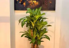Bán nhà riêng 5 tầng ở Khương Trung, gần hồ, hai thoáng, giao thông thuận tiện... Bán nhà riêng tại Khương Đình, Hà Nội 16