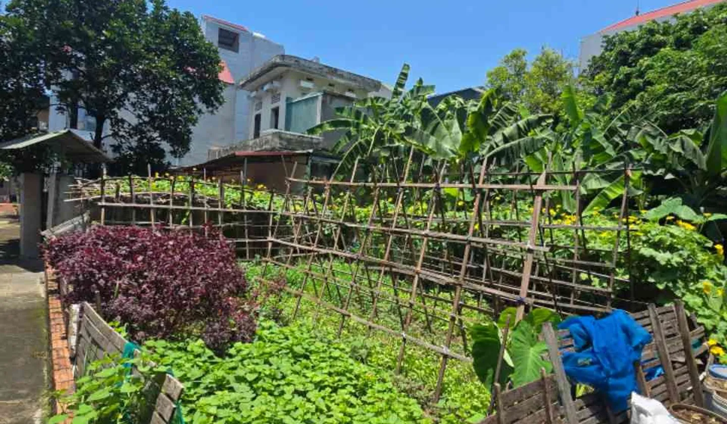 Lô góc mặt tiền rộng, vị trí đắc địa giá tốt cần bán gấp... Bán đất tại An Khánh, Hà Nội 01