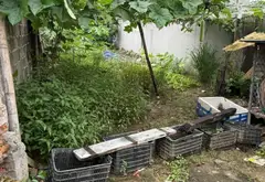 Đất bán khu vực thuận tiện giao thông, gần trường học các cấp tại thành phố... Bán đất tại An Phong, Hải Phòng 02