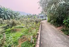Cơ Hội Sở Hữu Lô Đất Đẹp Tại Bắc Sơn với Giá Hấp Dẫn... Bán đất tại Trung Giã, Hà Nội 04