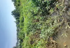 Bán nhà riêng diện tích lớn tại xã Xuân Thới Sơn, Hóc Môn... Bán nhà riêng tại Xuân Thới Sơn, Hồ Chí Minh 07