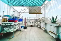 Bán nhà mặt phố 5 tầng Tân Phú, kinh doanh tốt, giá giảm sâu... Bán nhà mặt phố tại Phú Thọ Hòa, Hồ Chí Minh 12