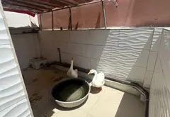 Nhà 4 Tầng Võ Văn Tần - 7 Phòng Ngủ Rộng Rãi, Kinh Doanh Đỉnh... Bán nhà riêng tại Xuân Hòa, Hồ Chí Minh 18