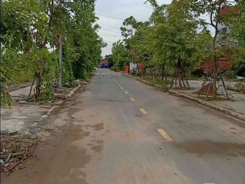 Bán đất phân lô 80m2 tại khu vực Thư Lâm, Vân Hà với pháp lý rõ ràng... Bán đất tại Thư Lâm, Hà Nội 01