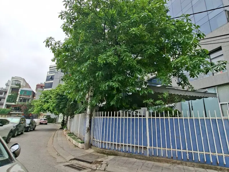 Tòa Nhà Văn Phòng Hạng Sang Tại Trung Tâm Lõi Long Biên... Bán văn phòng tại Bồ Đề, Hà Nội 01