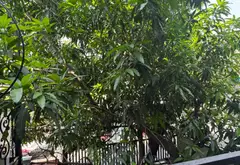 Nhà 4 Tầng Phân Lô Bình Hưng Hòa - 5PN, Kinh Doanh Tốt... Bán nhà riêng tại Bình Hưng Hòa, Hồ Chí Minh 06
