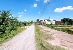 Bán đất Nguyễn Văn Bứa, trồng cây lâu năm 3089m2... Bán đất tại Hóc Môn, Hồ Chí Minh 06