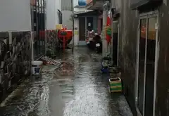 Cơ Hội Sở Hữu Nhà Riêng Giá Tốt Tại Phường Bình Đông, Hồ Chí Minh... Bán nhà riêng tại Bình Đông, Hồ Chí Minh 06