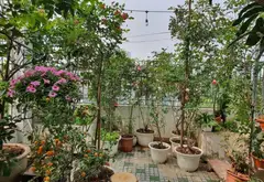 Cơ hội sở hữu nhà liền kề kinh doanh đắc địa tại Văn Quán, giá tốt hiếm có... Bán biệt thự, liền kề tại Thanh Liệt, Hà Nội 04